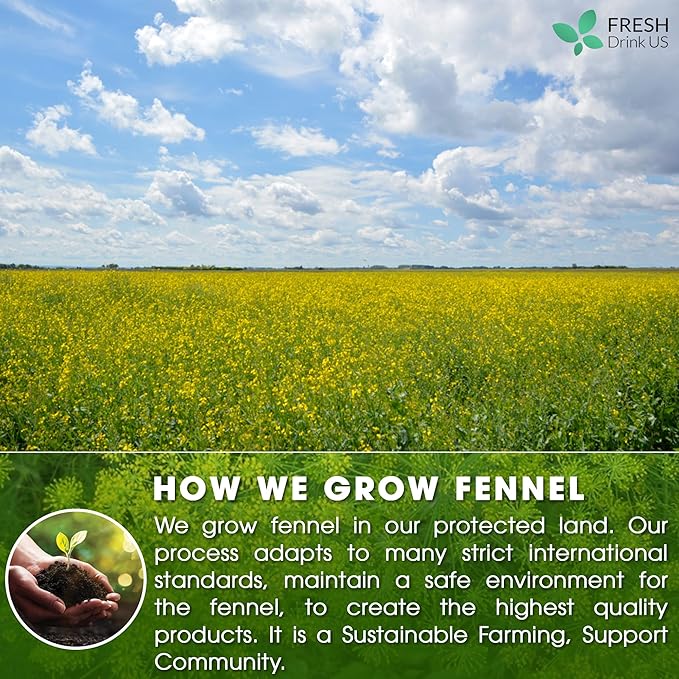 FreshDrinkUS, Premium 200 Fennel Tea Bags, 100% Natural & Pure from Fennel Seeds. Made with Natural Material Tea Bags. No Sugar, No Caffeine, No Gluten, Vegan.