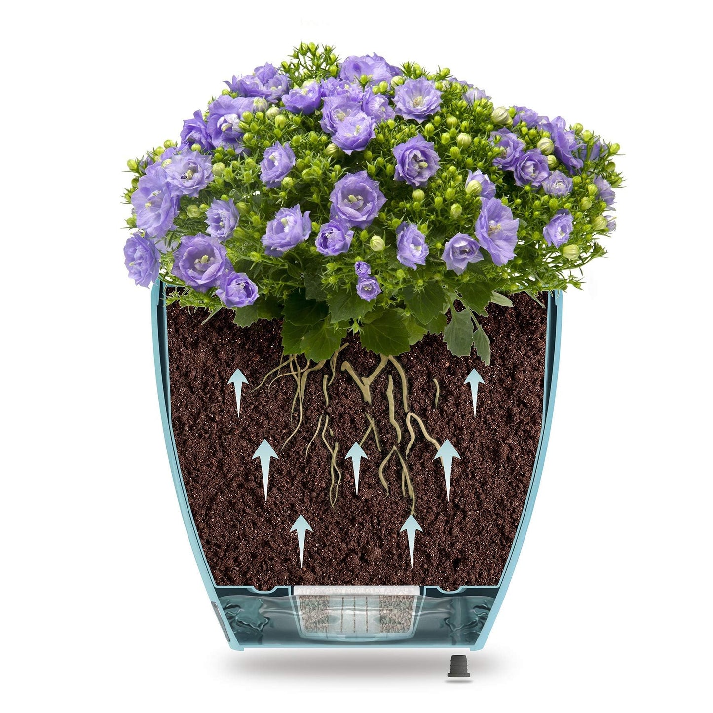 DECOPOTS - 3 Pack Self Watering Planter - Indoor Decorative Flower Pot with Drainage Cartridge and Water Level Indicator (5.5", Transparent)