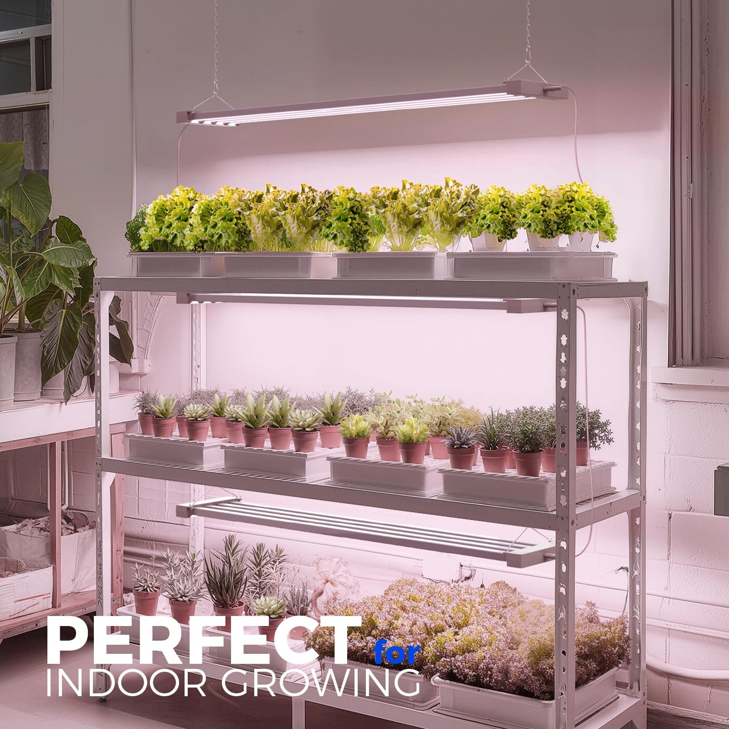 Barrina TX-L63 3FT LED Grow Light, 63W, 4 Panels Wider Coverage, Full Spectrum, High PPFD, Super Bright, Linkable, Hanging Fixture, Plant Stand with Grow Light for Indoor, Vegetable, Seeding, 1 Pack