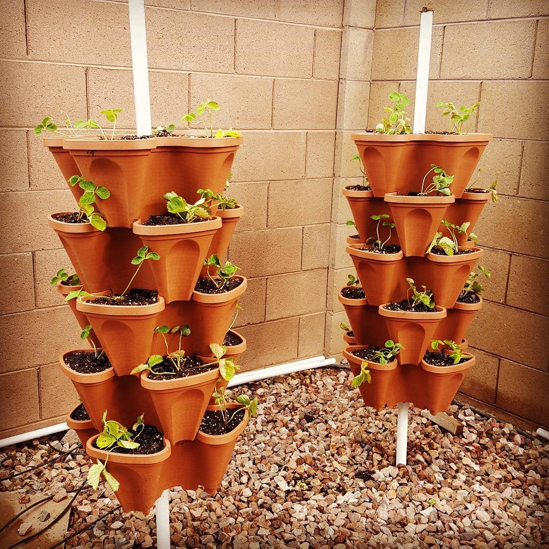 5 Tier Stackable Strawberry, Herb, Flower, and Vegetable Planter - Vertical Garden Indoor/Outdoor