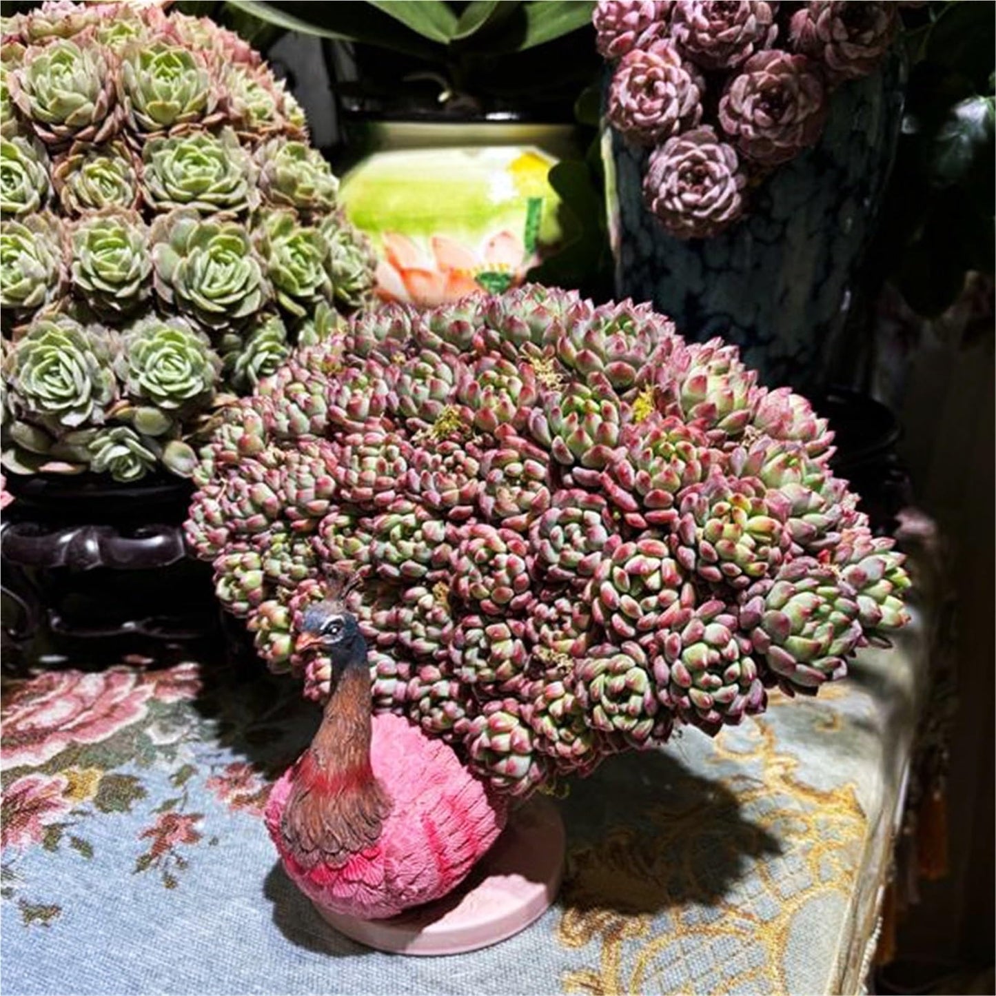 FXLTHIYBO Sleek Creative Forged Metal Succulent Planter Animal Peacock Sculpture Stand Garden Decoration for Indoor use(C)