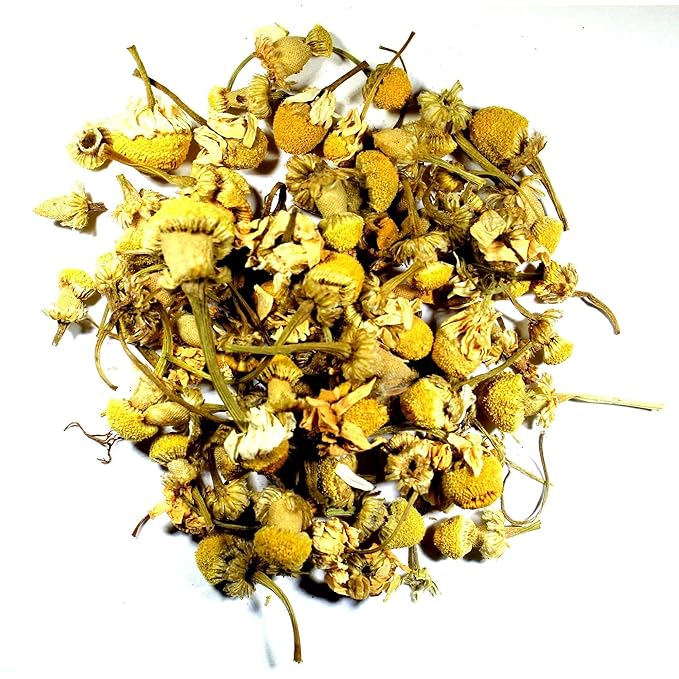 Nelson's Tea - Chamomile (Egyptian) (Matricaria recutita) - 1 oz.