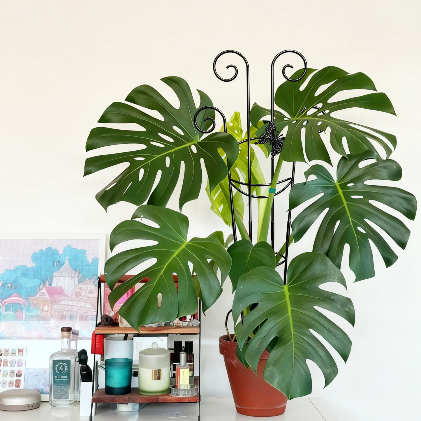 Coomin 32.6in Monstera Plant Support for Indoor Plants, 2P Trellis for Climbing Plants Indoor, Plant Climber Stakes for Potted Plants