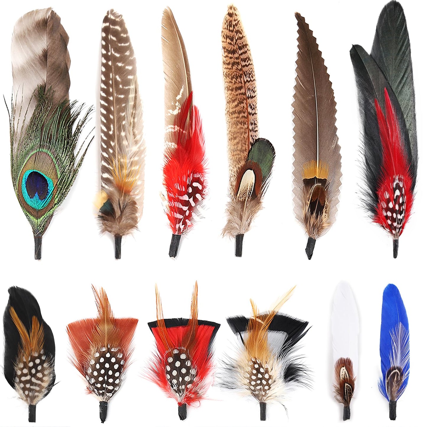 FeelfunFeather Hat Natural Peacock Feathers - 12PCS Colorful Real Feathers for DIY Fedora, Cowboy, Christmas Party, Oktoberfest, Trilby Hats