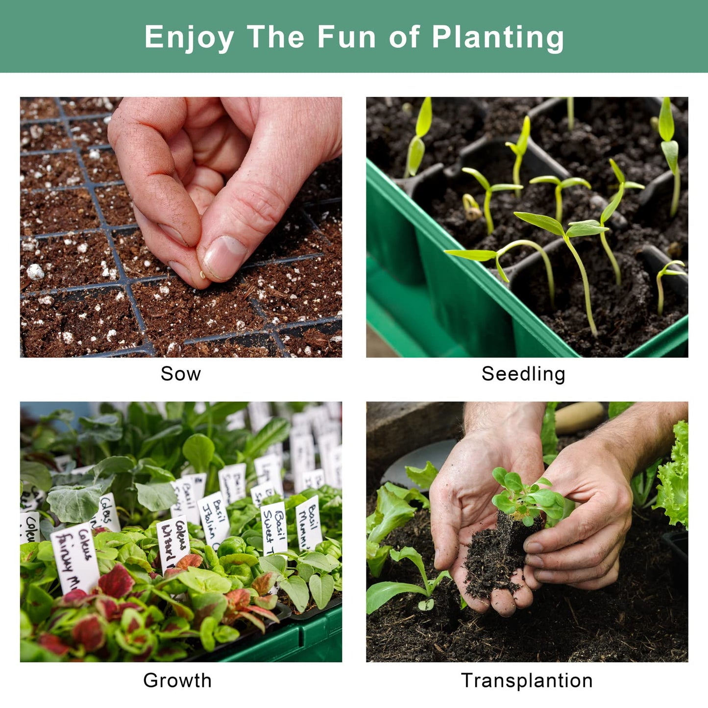 Elcoho 6 Pack Seed Starter Tray Kit 40 Cells Seedling Trays with Humidity Dome and Base Mini Propagator Plant Nursery Pots Total 240 Cells for Greenhouse Plants Growing, Green