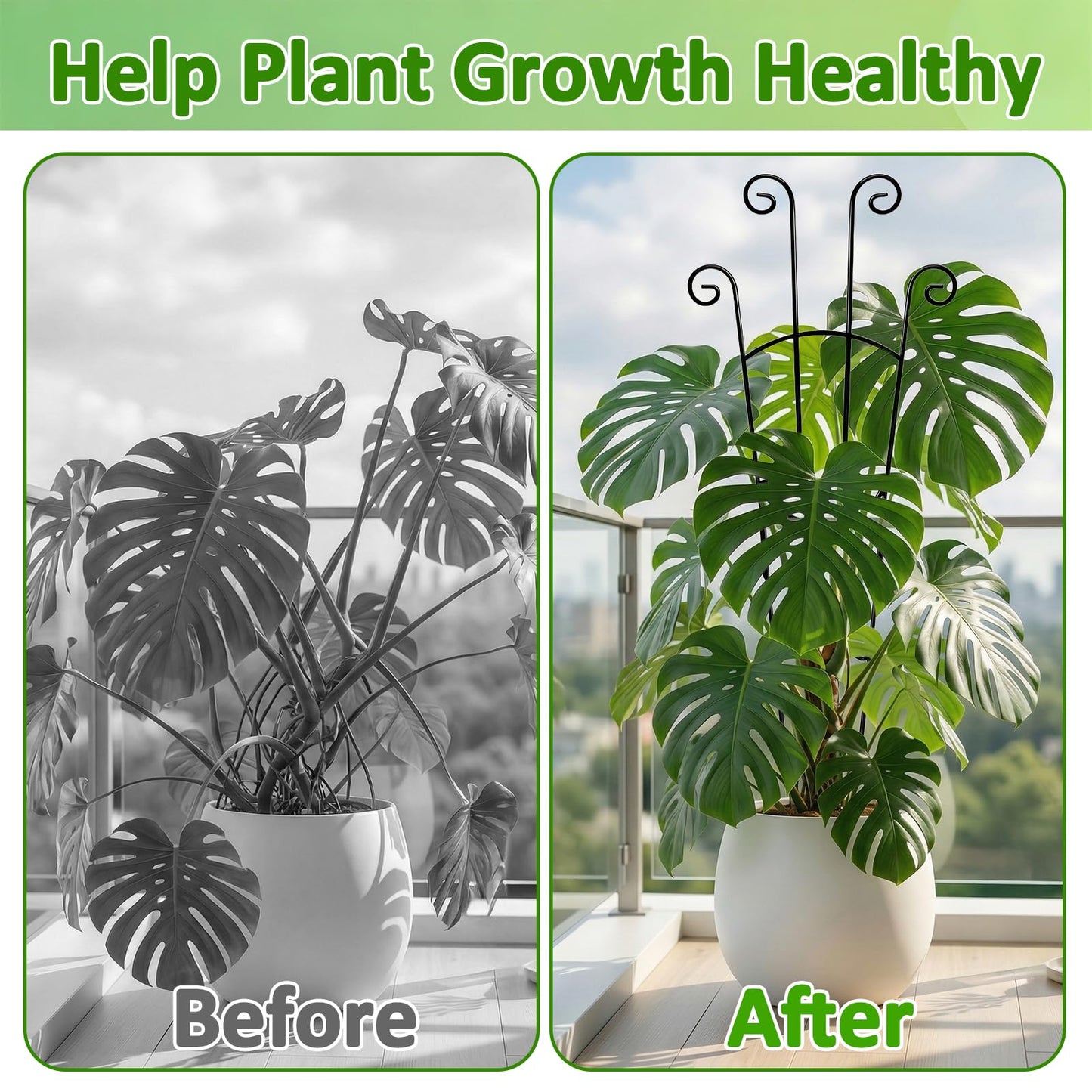 Monstera Plant Support - 4-Pack of 32.6" Tall Plant Trellis Stakes for Large Indoor Vines | Adjustable Dual Pole Frame for Monstera Deliciosa & Potted Plants