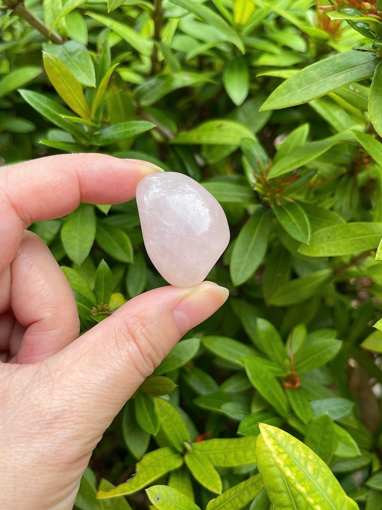 GAF TREASURES 5 Pcs Tumbled Rose Quartz Stones, Polished Quartz Healing Crystals