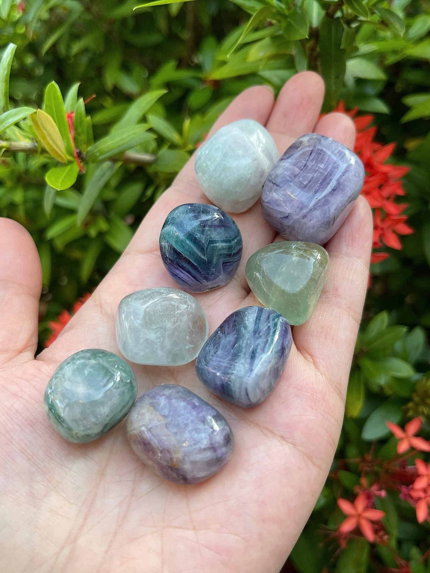 GAF TREASURES 5 Pcs Rainbow Fluorite Tumbled Stones, Polished Natural Rainbow Fluorite Gemstone, Rainbow Fluorite Healing Crystals (Rainbow Fluorite)