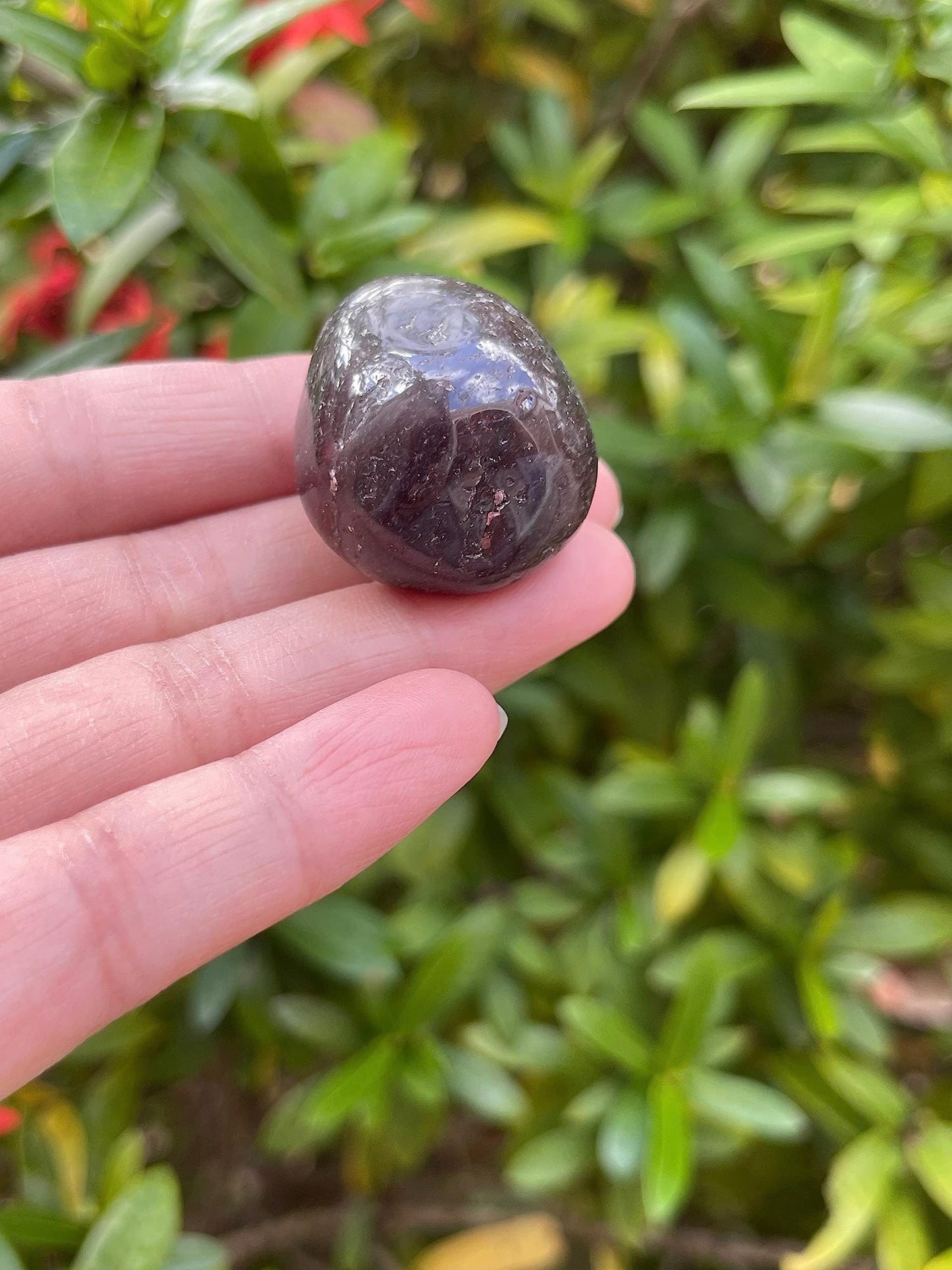 GAF TREASURES 5 Pcs Garnet Tumbled Stones, Polished Garnet Gemstone, Garnet Healing Crystals (Garnet)