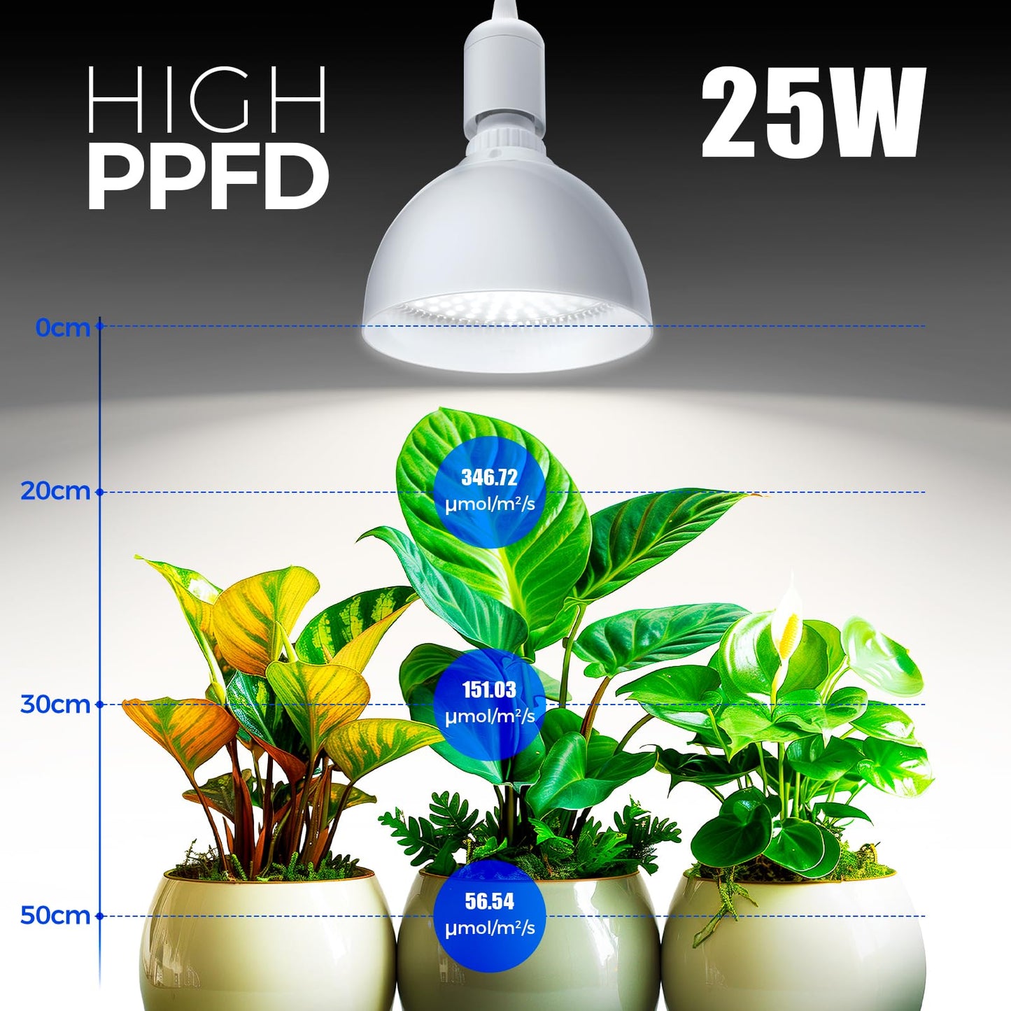 Barrina LED Grow Light Bulb with Timing and Hanging System, 25W Full Spectrum, 4H/9H/14H Timer, Hanging Grow Lights for Indoor Plants with 16.4FT Power Cord, Plug in Pendant Light for Plants