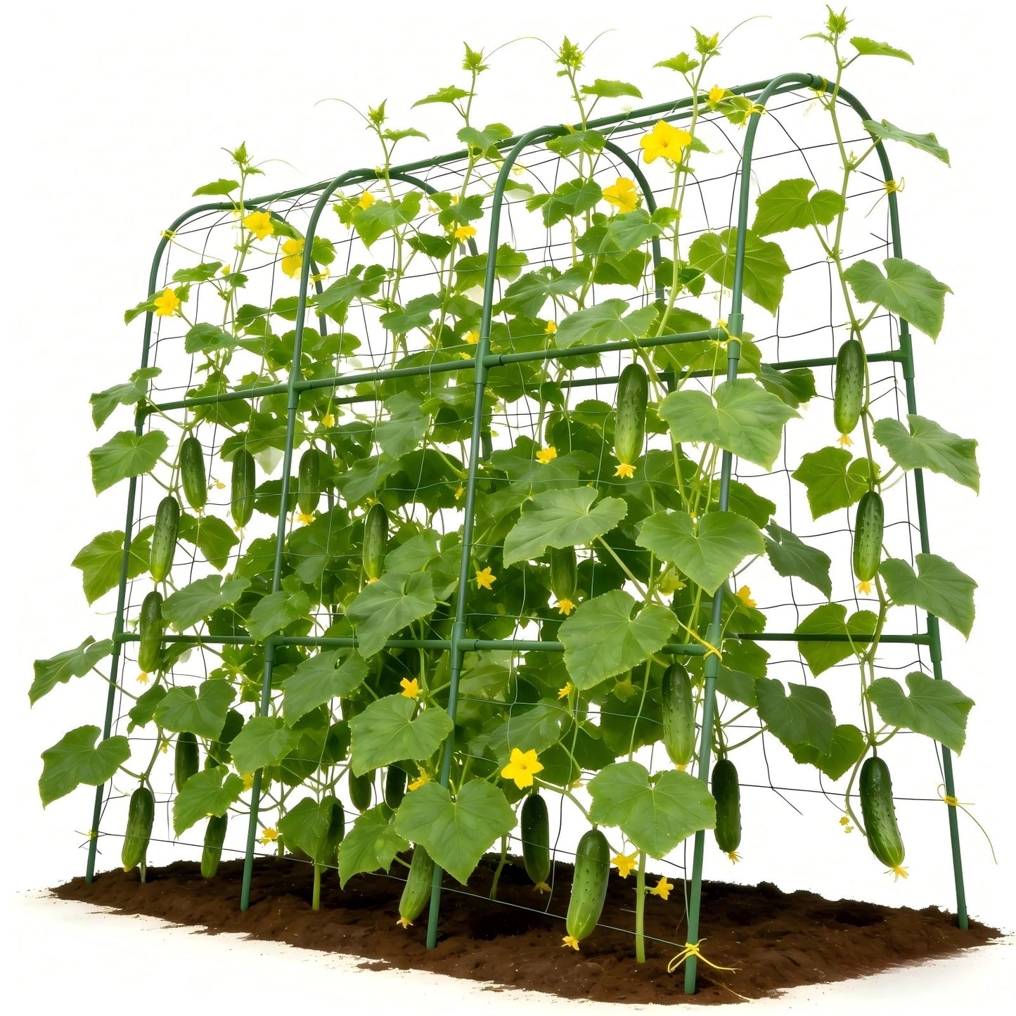 Tegarbed Cucumber Trellis for Climbing Plants Outdoors, U-Shape Garden Trellis for Raised Bed with Netting, Plant Support Structures for Vegetables, Grape, Bean, Tomato, Vines, 48 * 46 inch, Green