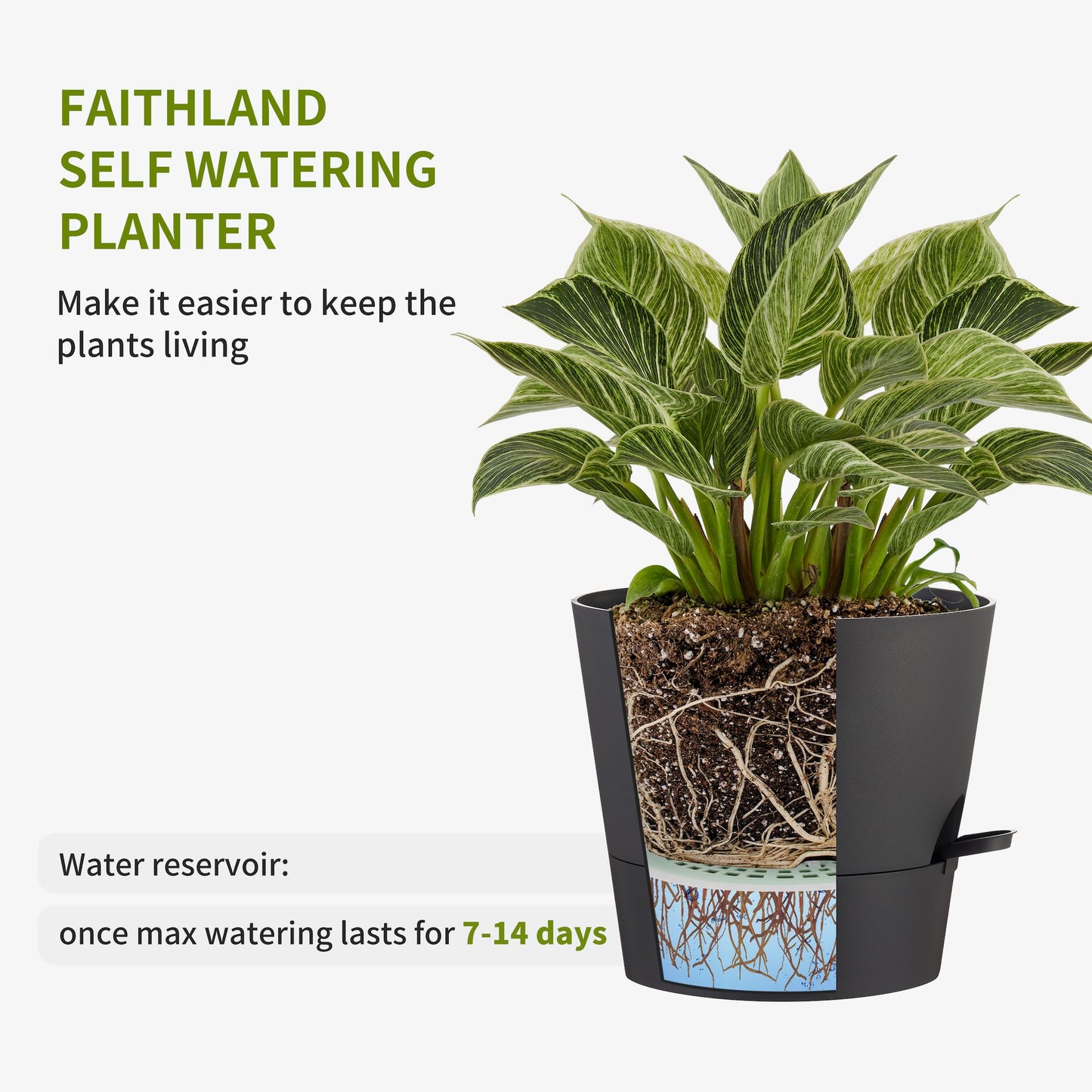 FaithLand 2 Tier Plant Stand and 2-Pack 10 Inch Self Watering Pots Bundle