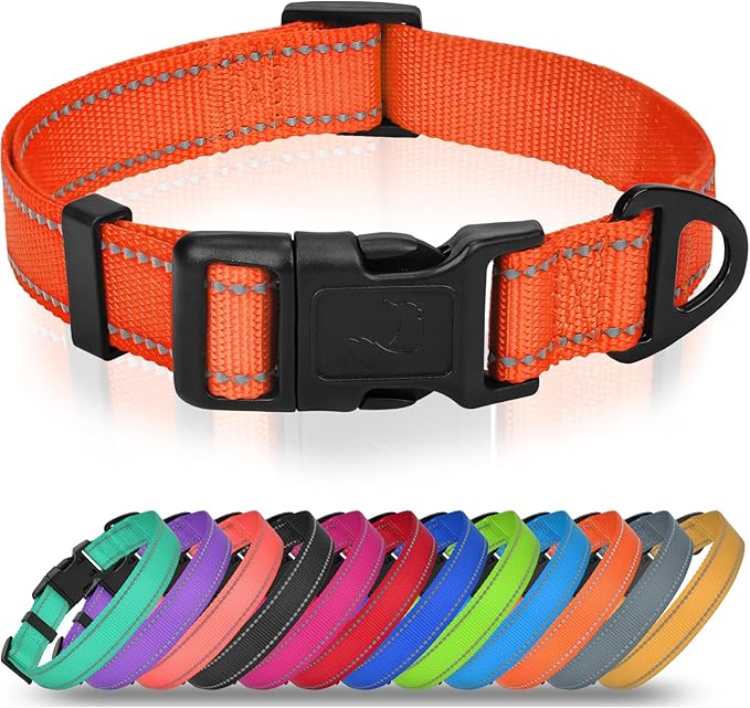 Joytale Feather-Light Dog Collar for Medium & Large Dogs, 1", Red