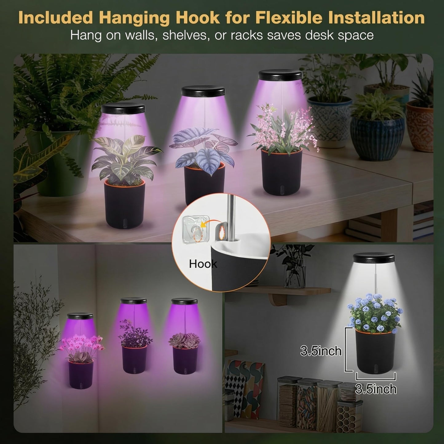 Raygrov Self-Watering Planter with Grow Light — Cute Desk Plant Pot for Office, Bedroom & Window — No Green Thumb Needed, 2-in-1 Wall + Desktop, USB Powered (5W LED, White)