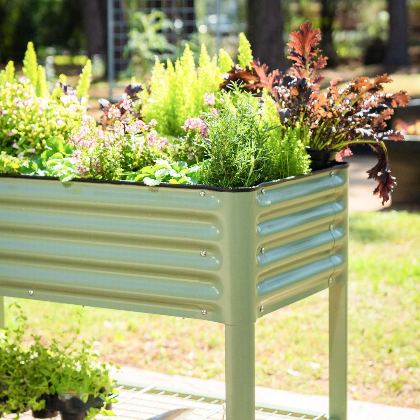 Rolling Elevated Raised Garden Bed-V Series, 2' x 6' Garden Beds with Legs & Storage Rack for Patio & Porch, 1000 Lbs Weight Capacity, Outdoor Planter Box for Vegetables Flower Herbs, Olive Green