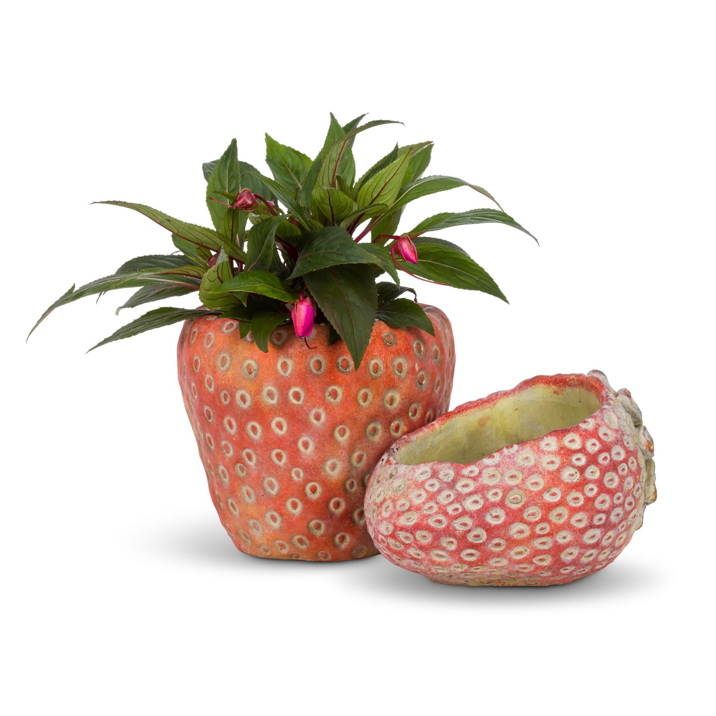Abbott Collection Small Strawberry Planter - Cement, Pink (5" D)