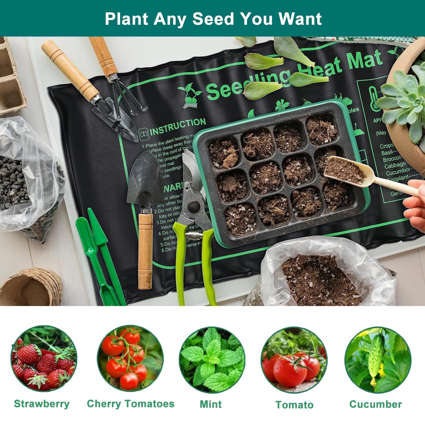 FINEST+ Seed Starter Tray with Heat Mat and Grow Light,5 Pack Seedling Starter Trays with Time Controller,Seedling Starter Tray with Adjustable Brightness,Seed Starting Kit with Adjustable Humidity
