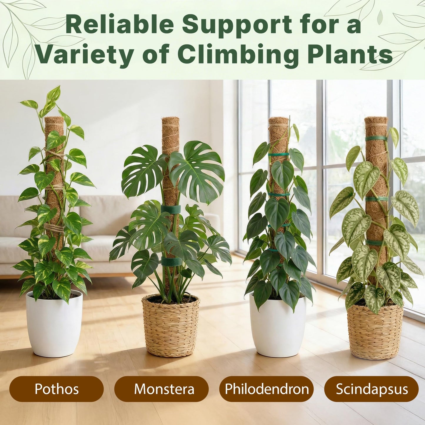 4 Pack 16" Moss Pole Monstera Plant Support - Stackable up to 48" - Plant Stakes for Indoor Climbing Plants Potted - Tall Coco Coir Pole Sticks & Accessories for Monstera, Pothos & Philodendron
