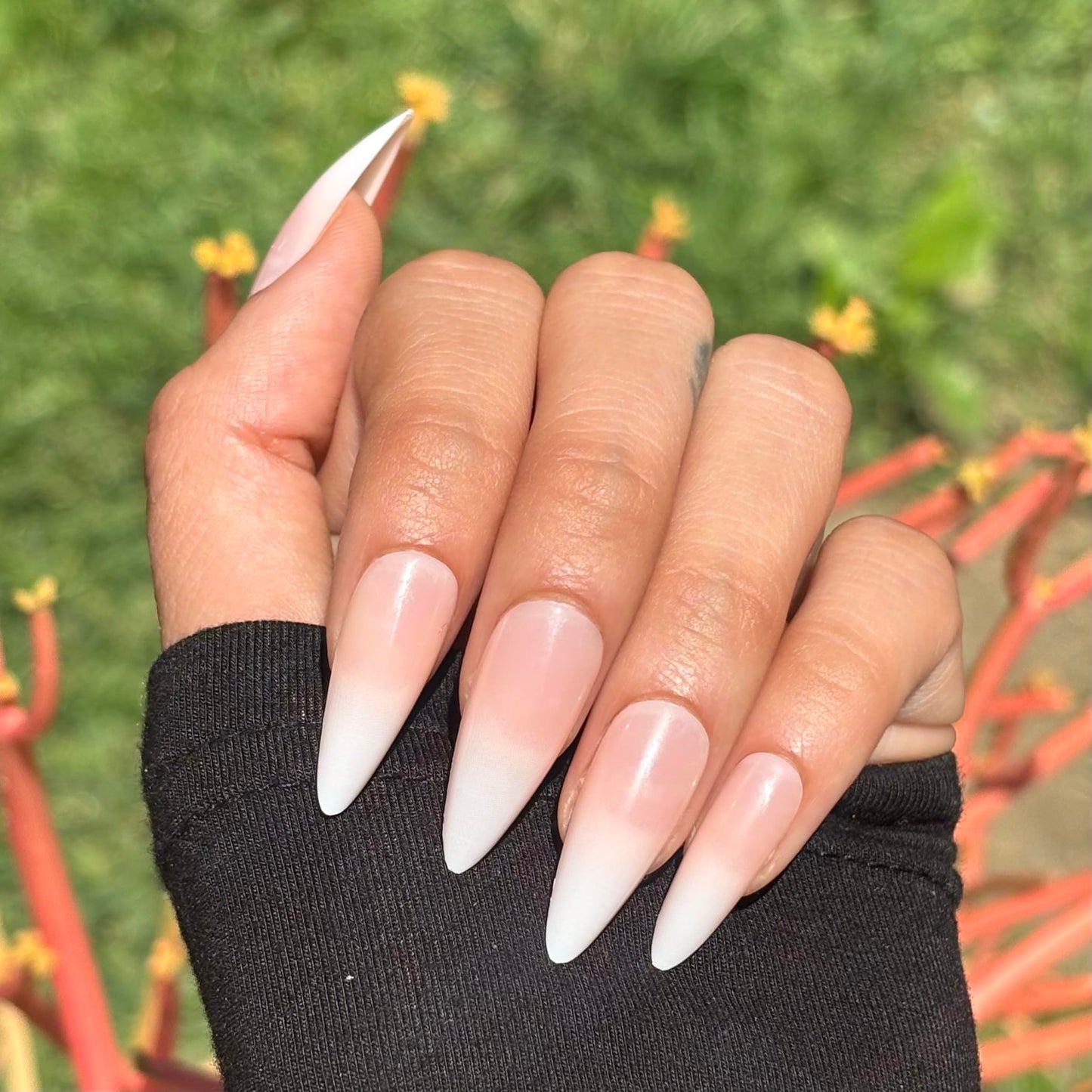 FRENCH KISS Press-On Nails by Lavaa Beauty | Long Stiletto | French Ombré Tip Stiletto Nails
