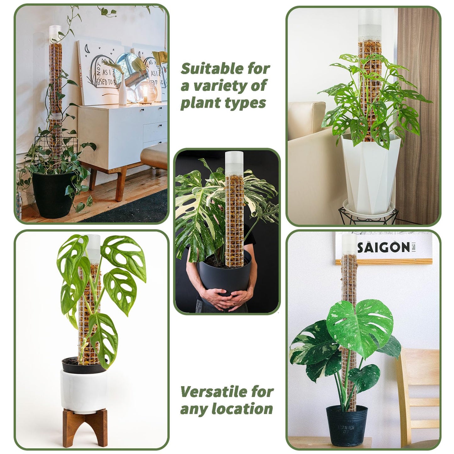 Jegu Self-Watering Moss Pole for Monstera Plant Support, 18.8 Inch Stackable Plastic Moss Pole for Climbing Plants. (4PACK-Large)