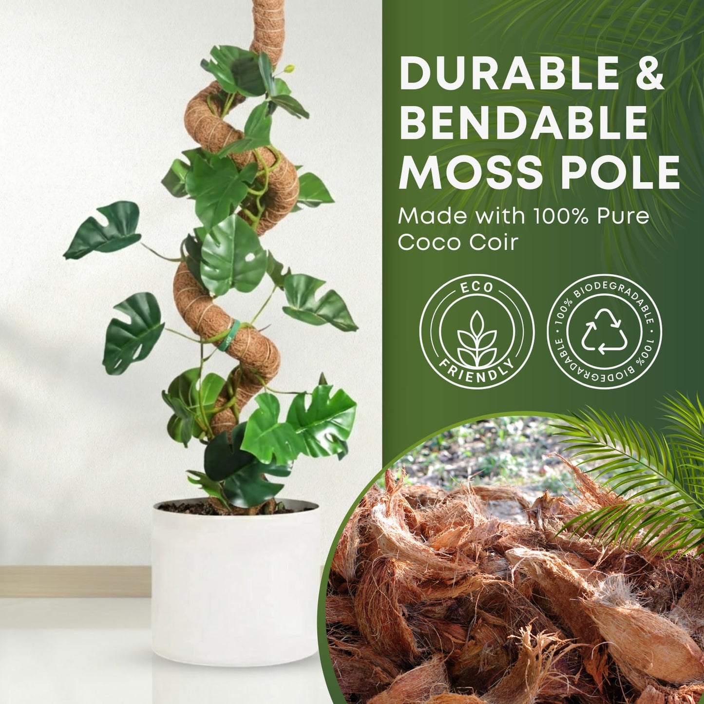 Auraville Moss Pole Monstera Plant Support | 48 Inch Plant Stakes for Indoor Plants | Coconut Palm Fiber Moss Poles for Climbing Plants | Handmade Plant Sticks Support Tall Monstera, Pothos & More