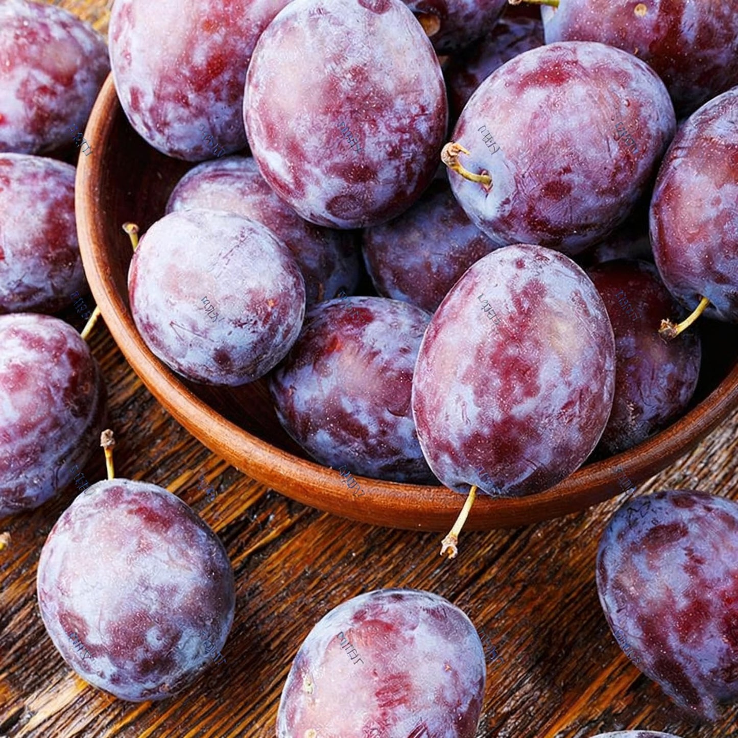 10 Prunus Domestica Seeds for Planting, Perennial Plum Fruit Tree Seed, Non-GMO Fruit Tree Seeds for Home Garden, Potted Decoration