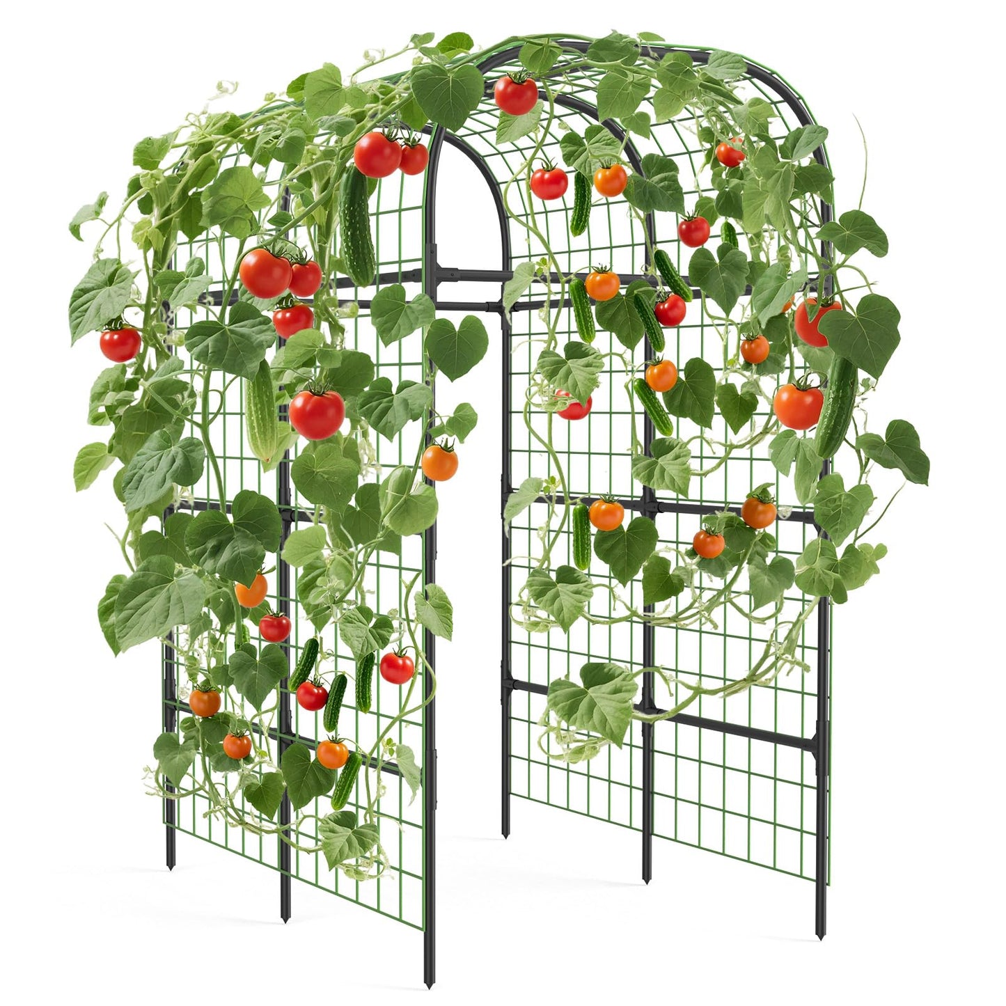 GarveeLife Metal Garden Arch Trellis 7.3 FT, Cucumber & Melon Trellis for Raised Beds, u-Shape Plant Support with Plastic Connectors for Climbing Vegetables, Grapes & Roses, Black