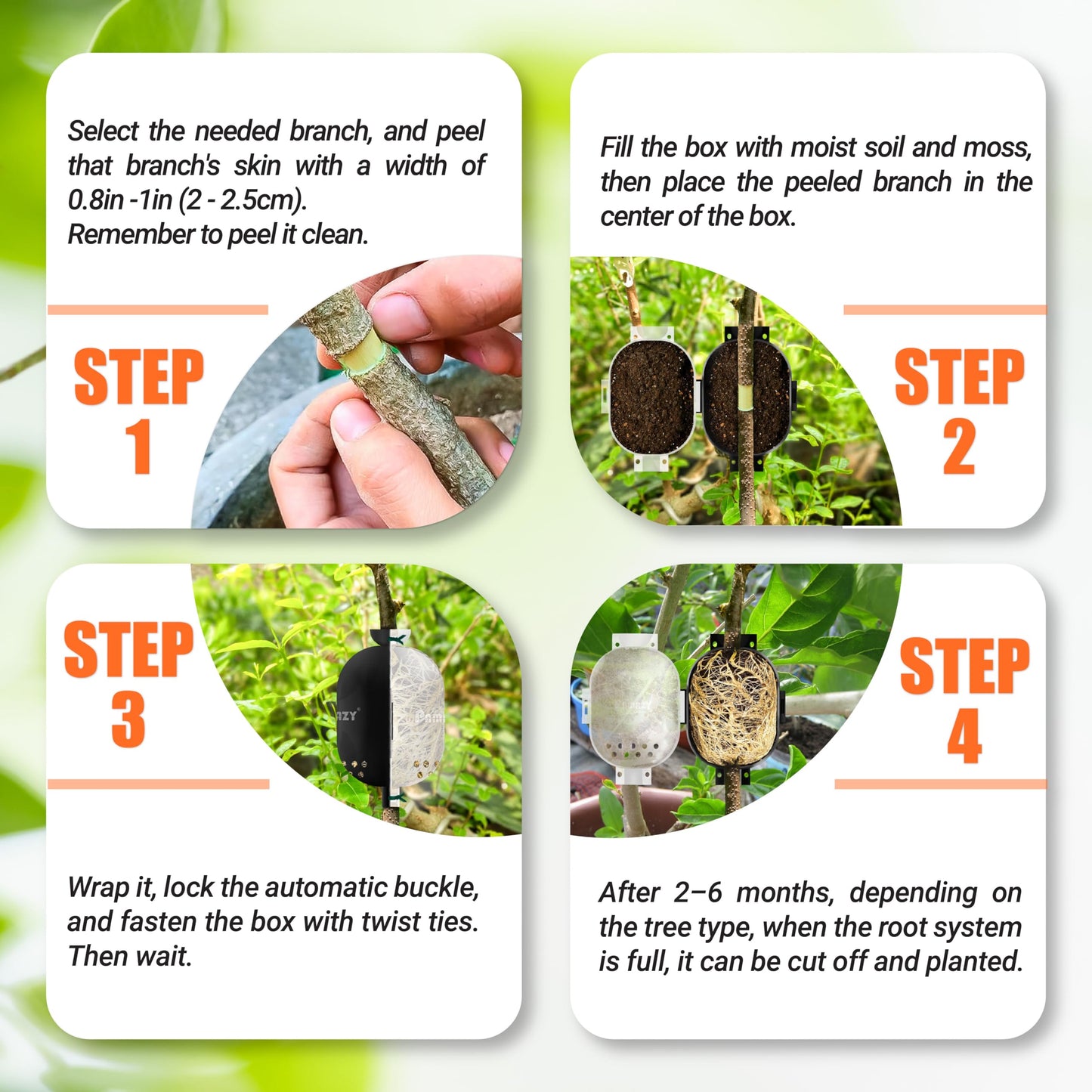 PAMAZY [Upgraded] 9Pcs Tree Root Growing Box with Drain Holes, Half Transparent Plant Rooting Propagation Ball & Metal Core Twist Ties, for Fast Propagation Plants (Size M)