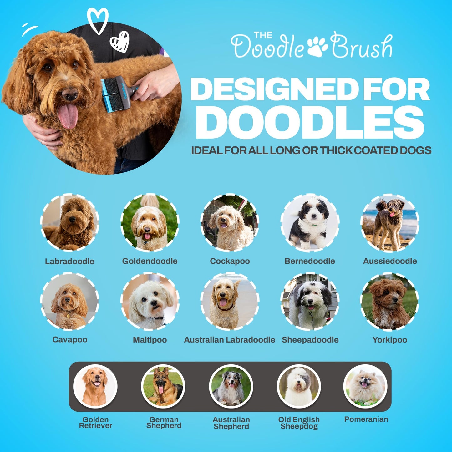 The Doodle Brush - Slicker Dog Brush Bundle for Cockapoo, Goldendoodle & Poodle - Single & Double Head Grooming Brush for Long-Haired Dogs - Detangler & Grooming Tool