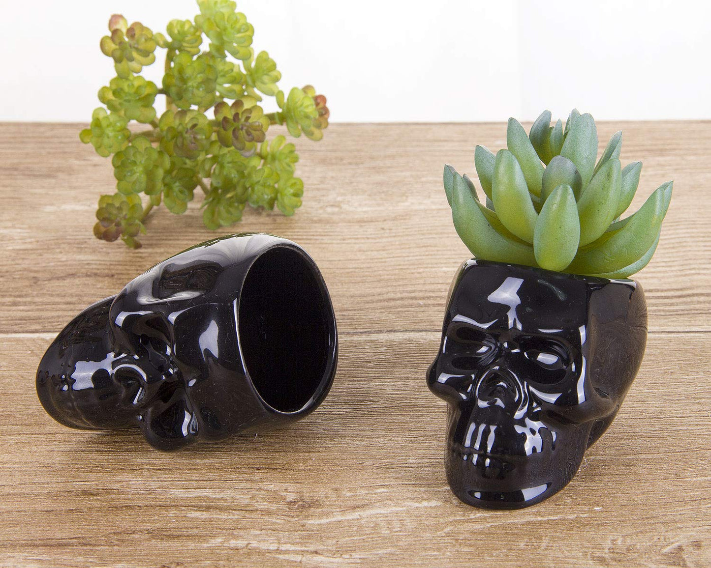 VanEnjoy Set of 3 Black Ceramic Skull Shaped Succulent Planter Pots Creative Cactus Plant Pot Pen Pencil Holder, Home Office Desk Decoration