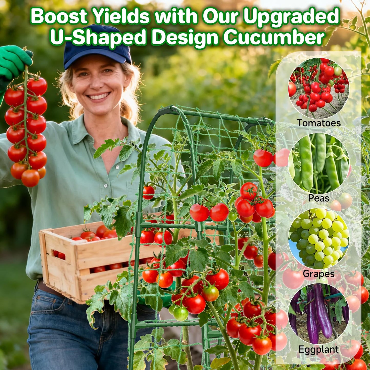 Cucumber Trellis for Raised Bed, U-Shape Garden Trellis for Climbing Plants Outdoor, Metal Arch Trellis for Vegetables, Plant Support for Tomato, Pea, Zucchini (47.2" L×30" W×47.2" H-Medium)