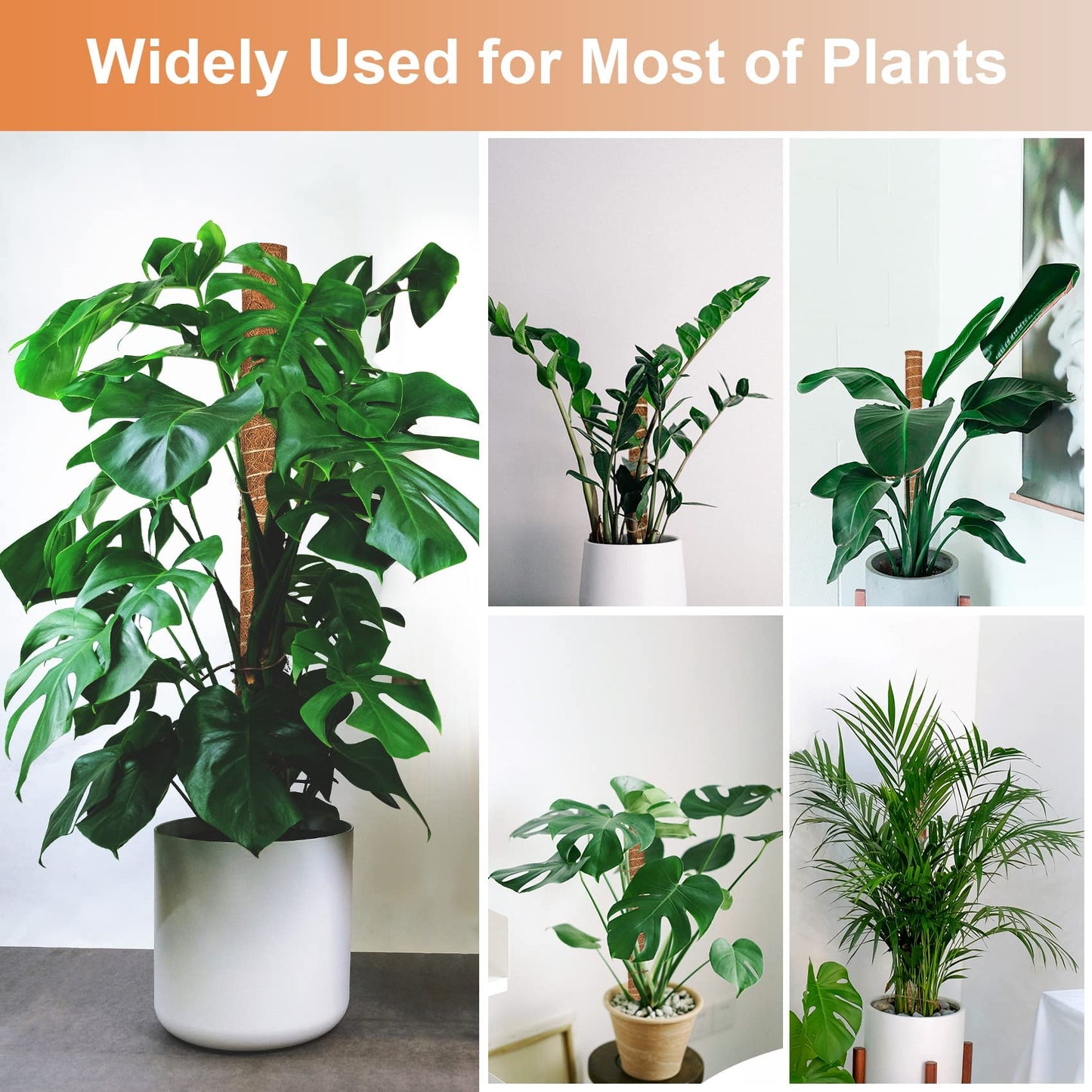JJGoo Moss Pole for Plants Monstera,【8 Pack】 17 inch Plant Support Pole, Extendable Coir Totem Pole for Potted Plants Pothos, Train Indoor Climbing Plants to Grow Upwards