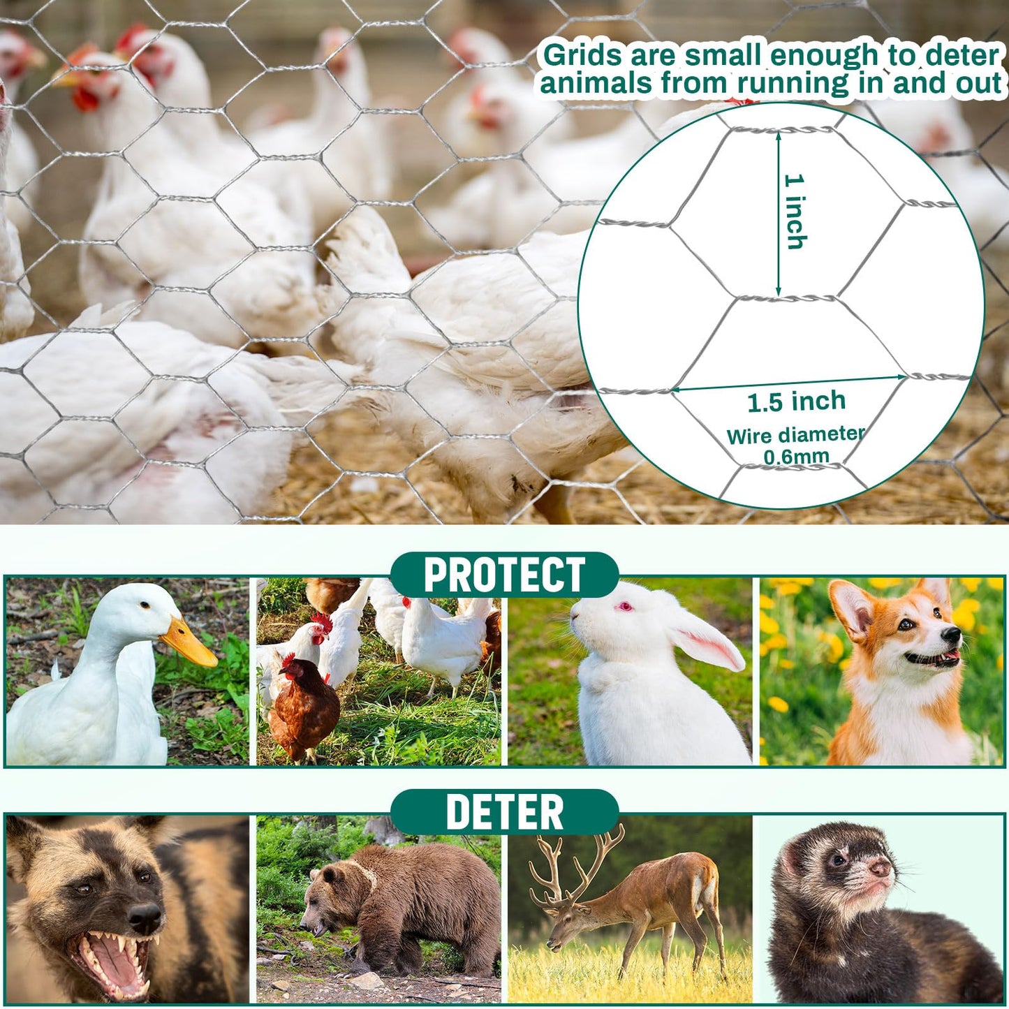 GlikCeil 12 in X 200 ft Chicken Wire Fencing Metal Floral Chicken Wire Mesh for Crafts Poultry Garden, 1 Inch Hexagonal Galvanized Hardware Cloth Netting for Poultry Coop Barrier Rabbit Cage (Silver)