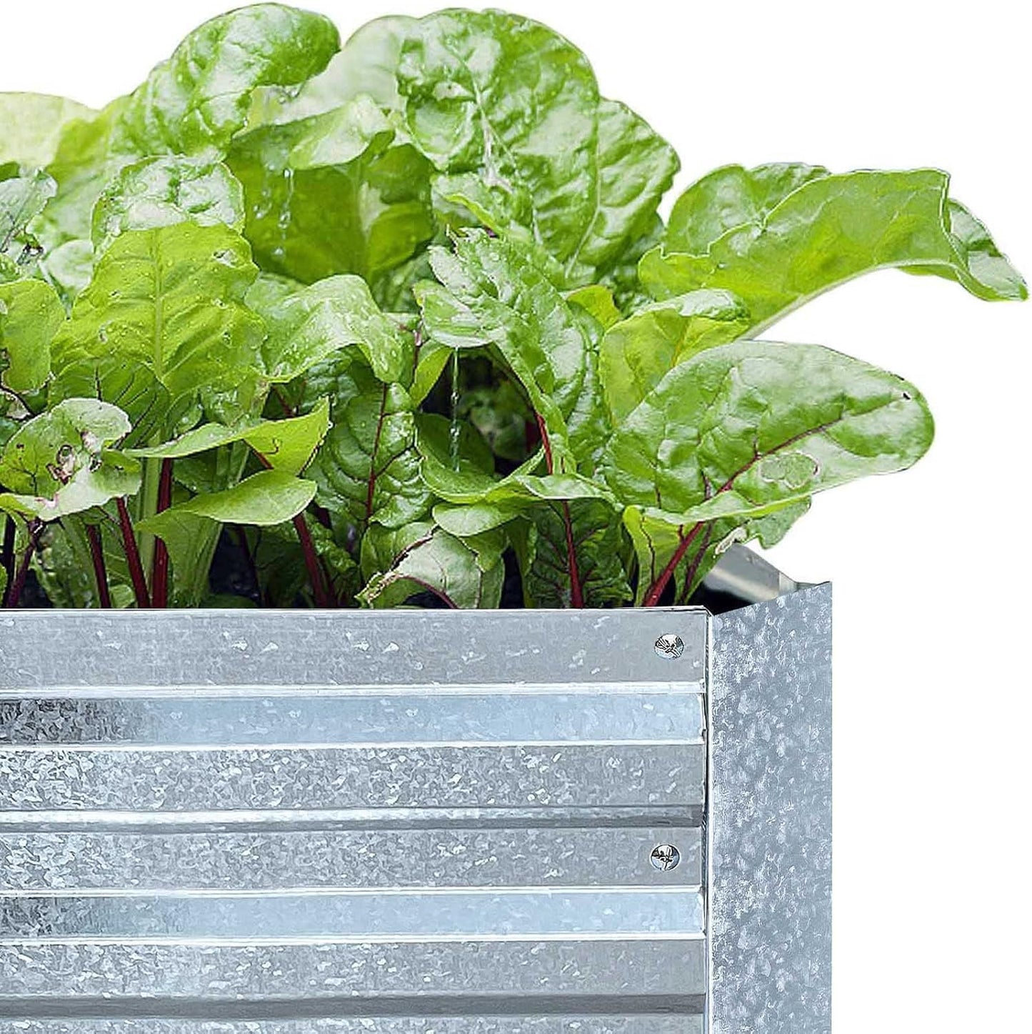 FOYUEE Galvanized Raised Garden Beds 3-Pack (8x4x1ft Each) – Overlapping 4-Inch Panels with Two-Row Screws, Heavy-Duty Metal Planter Box for Vegetables, Herbs, Flowers, Large Garden Kit