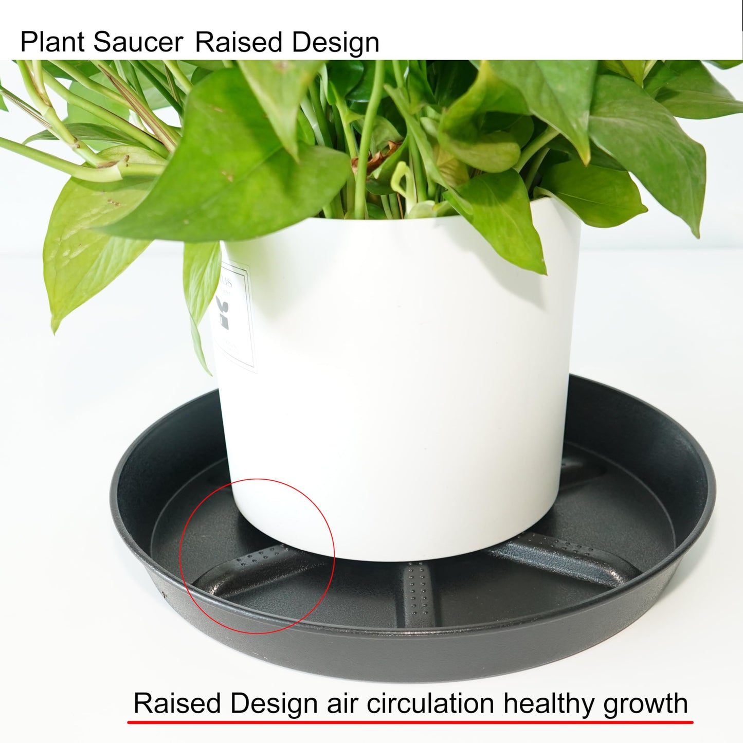 NIMYAU Plant Saucer 10 Inch 4 Pack Thick, Raised Center for Optimal Drainage Plant Saucers, Durable Plastic Drip Tray for Indoor & Outdoor Plants