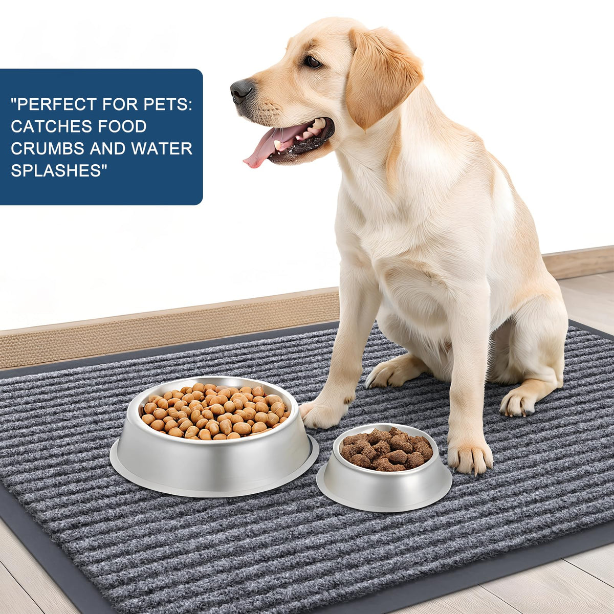 Front Door Mat 47x30