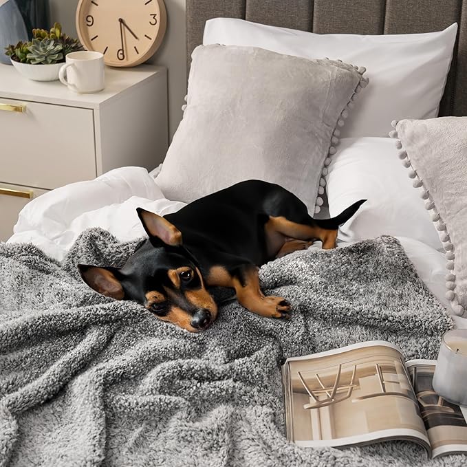 PAVILIA Sherpa Bed Blanket King Size, Heather Grey Plush Soft Cozy Blanket for Bed, Fluffy Lightweight Microfiber, Fuzzy All Season Blanket, 90x108 King