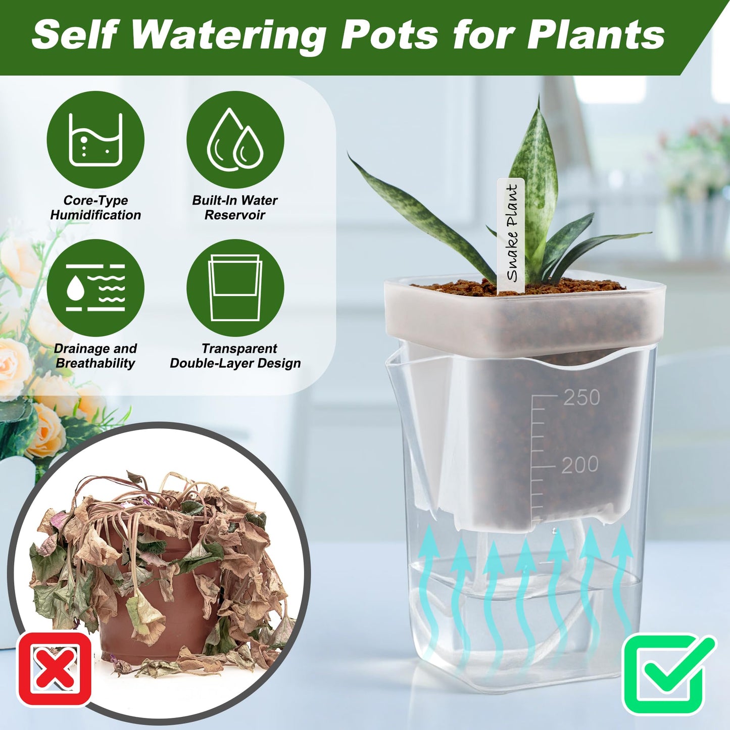 Anglecai 12 Pack Mini Self Watering Pots Set for Indoor Plants, 2.5" Small Clear Self Watering Planters with Watering Holes Plastic Flower Pot with 12 Labels, 12 Ropes
