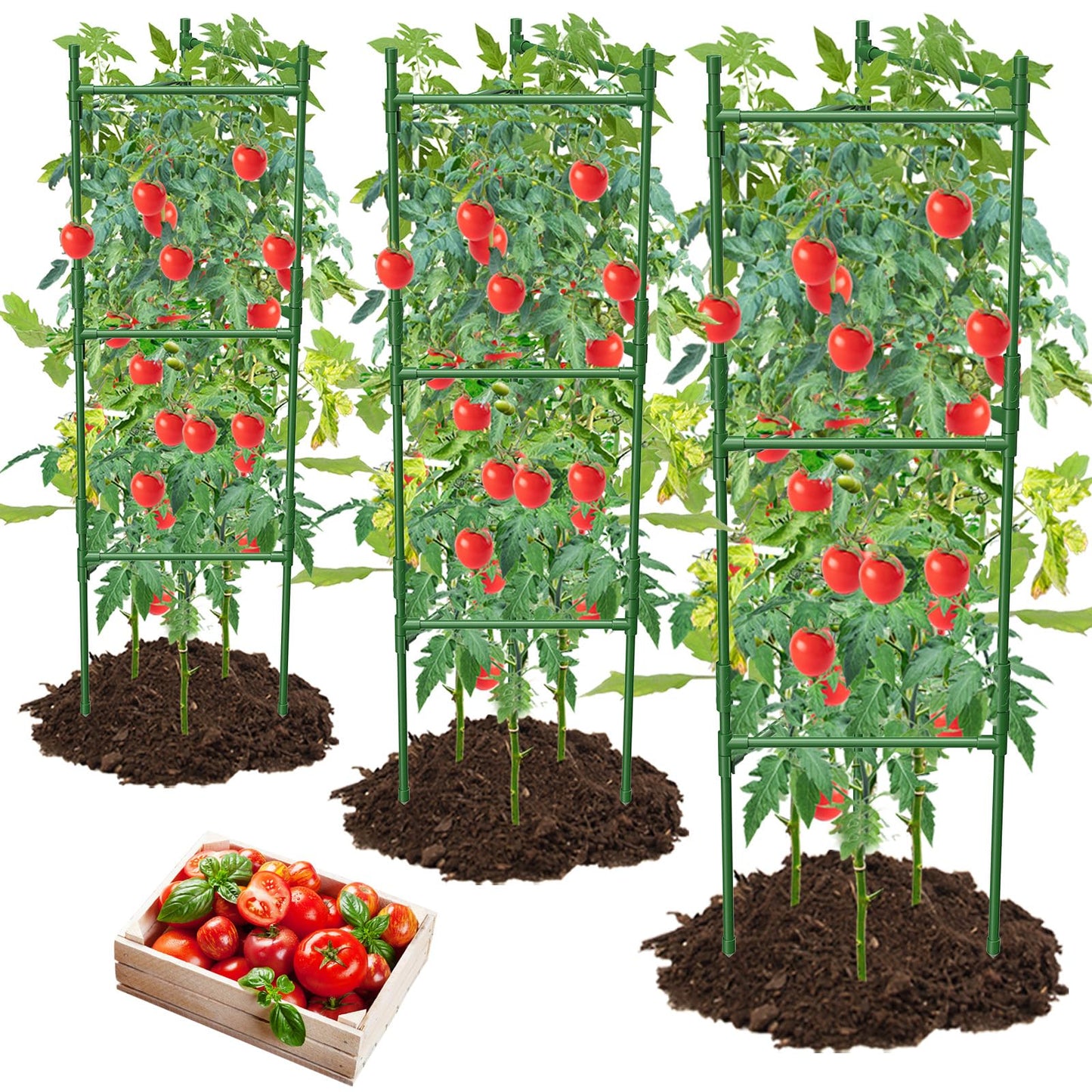 MQHUAYU 3 Pack Tomato Cage,Tomato Cage for Raised Garden Bed, 48'' Tall Tomato Trellis Triangle or Square Cages for Garden,Pots, Plant Cages & Supports（Green, Extra Bold ）