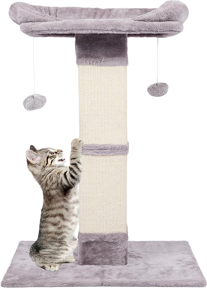 Runske 34" Tall Cat Scratching Post with Bed, Sisal Scratch Posts Trees with Plush Perch and Hanging Ball for Indoor Cats, Removable Cover, Large Scratch Post and Base, Rugged and Durable, Light Grey