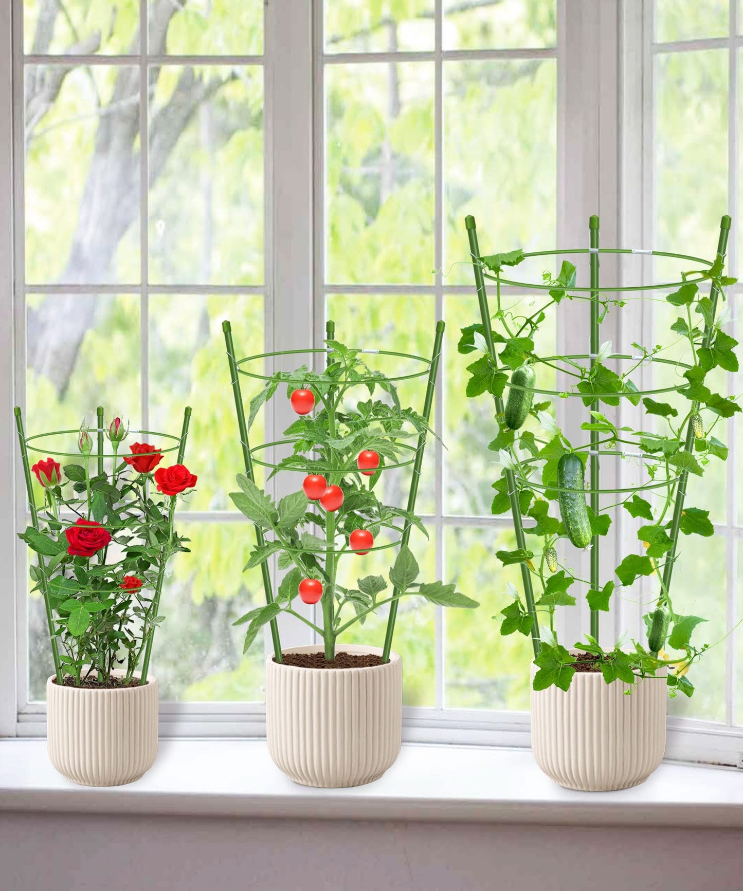 4 Pack Garden Plant Support Tomato Cage, Upgrade 24" Trellis for Climbing Plants, Plant Trellis Kits (24")