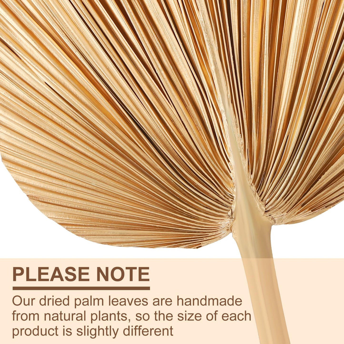 Ovveroche 4 Pcs Large Gold Dried Palm Leaves, Home Wedding Decor Natural Boho Dried Palm Fans with Stem,Tropical Palm Leaves Boho for Vase Baby Shower Anniversary