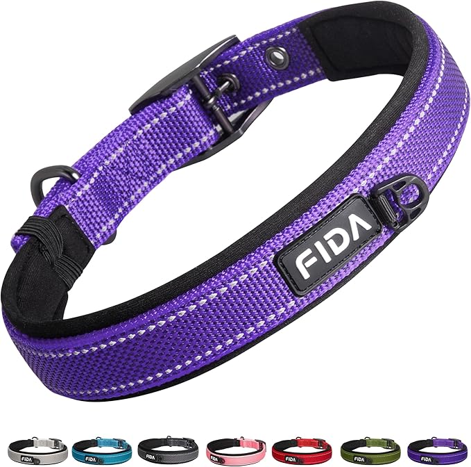 Fida Padded Dog Collar for Small Dogs with Metal Belt Buckle, Black