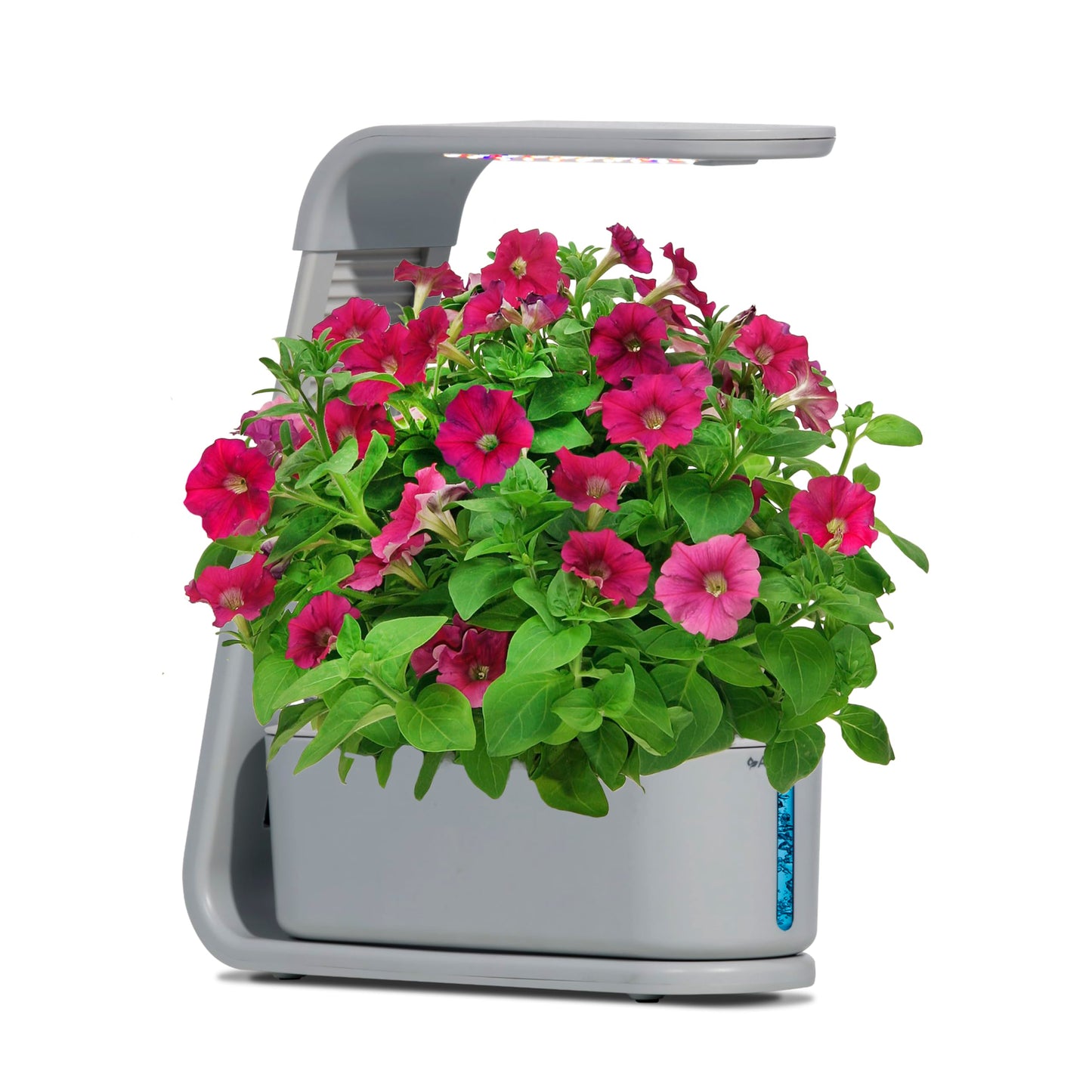 AeroGarden Sprout with Gourmet Herb Seed Pod Kit - Indoor Garden with LED Grow Light, Cool Gray