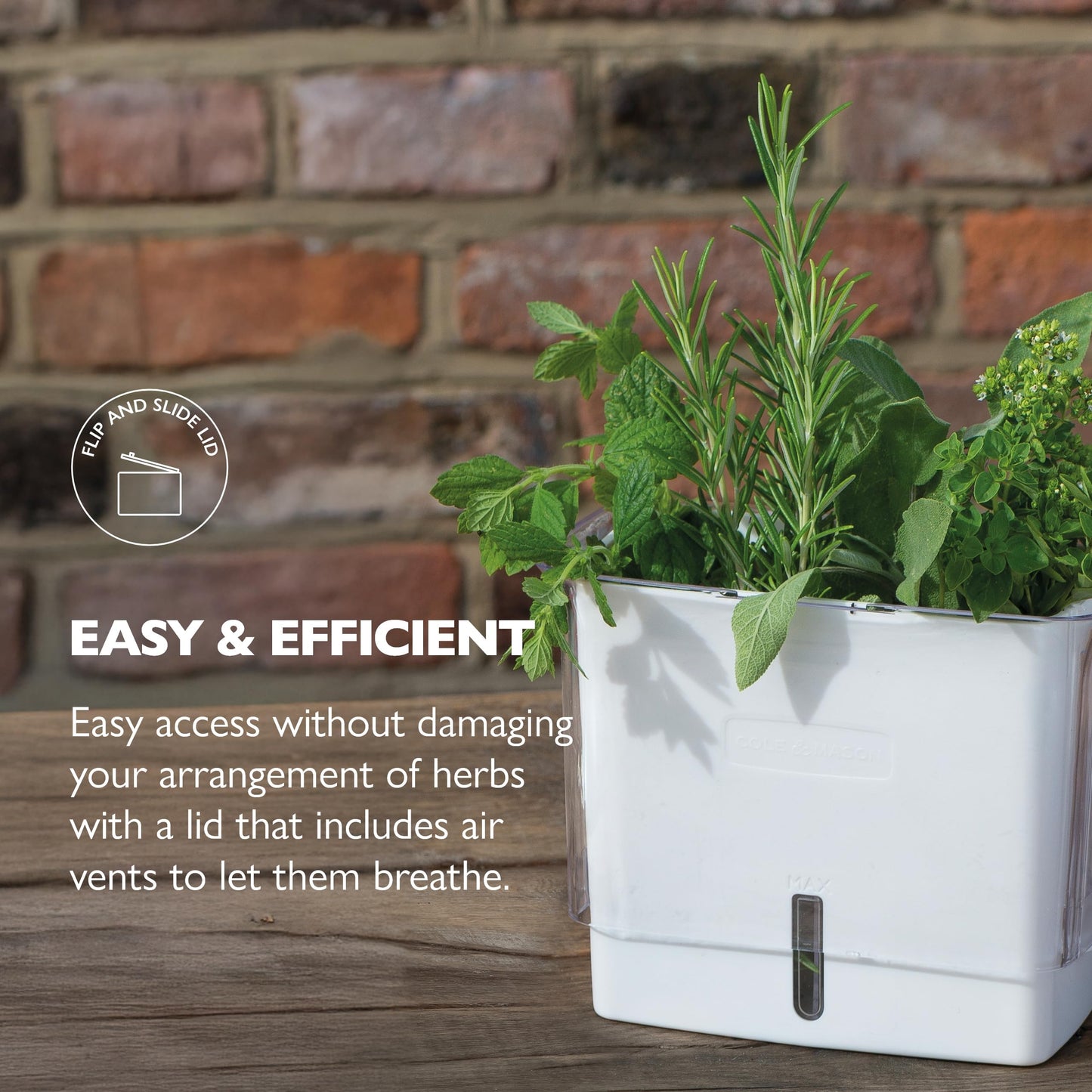 Cole & Mason Fresh Herb Keeper - Acrylic Storage Container for Refrigerator - Storage for Herbs & Vegetables for Fridge - Fresh Herb Keeper