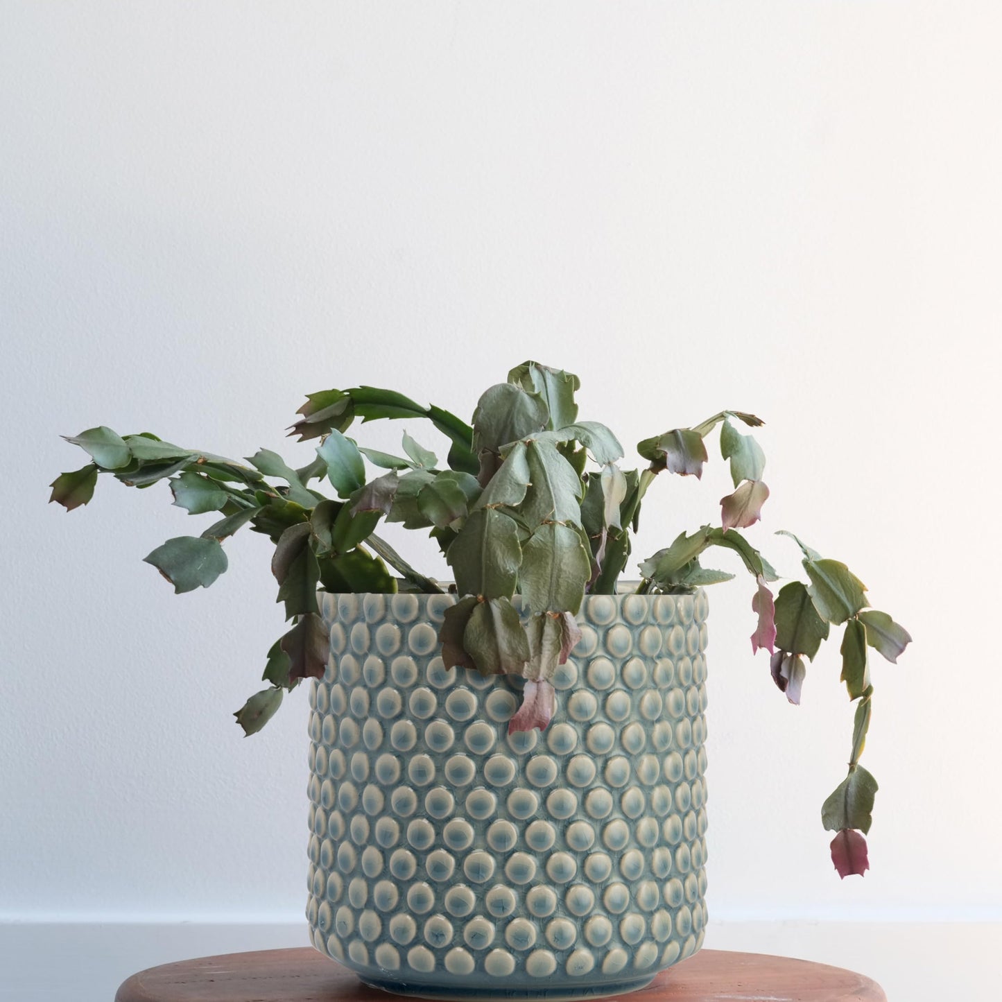 Bloomingville Sky Blue & Cream Stoneware Pot with Crackle Finish