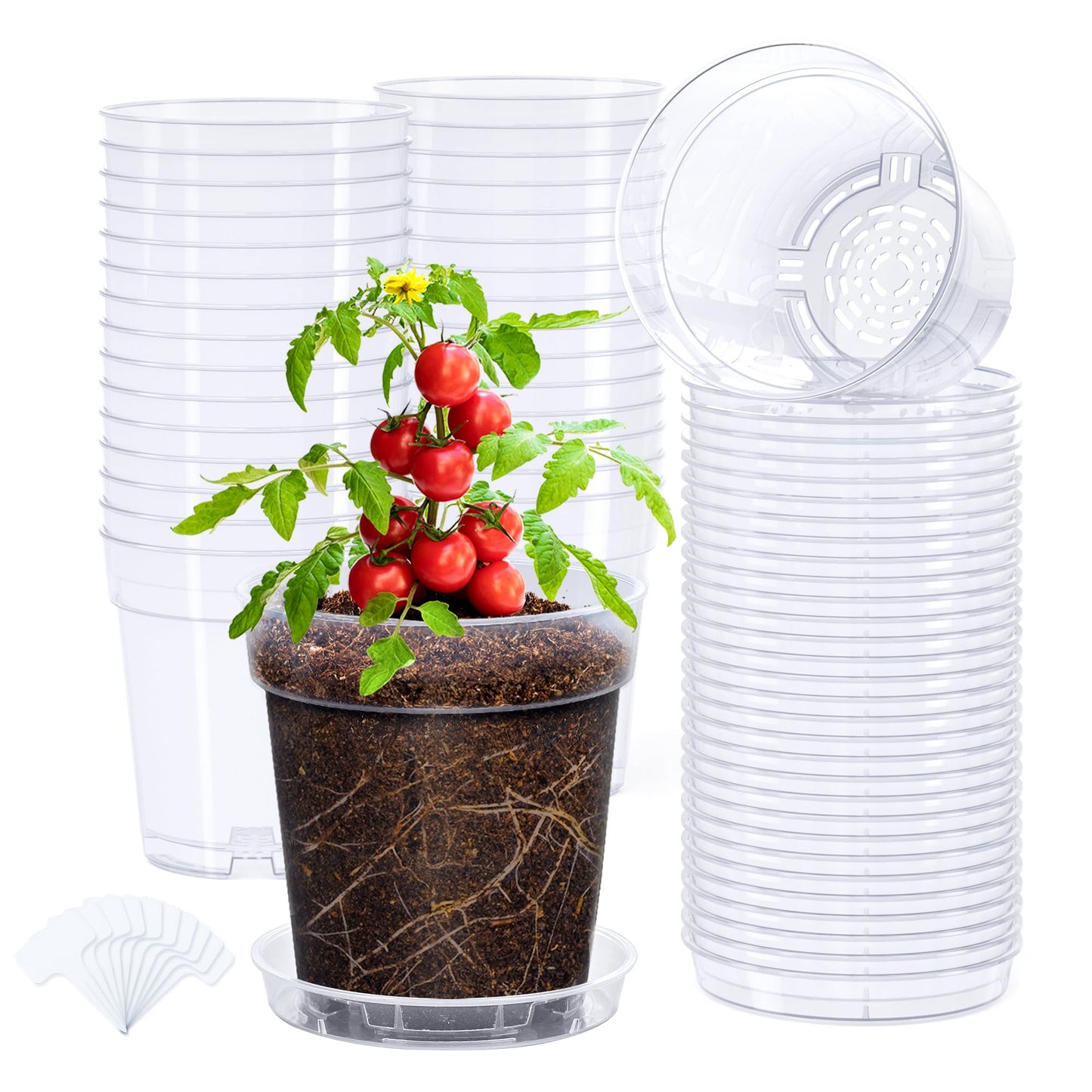 homenote 5 Inch Clear Nursery Pots 30 Pack with Drainage and Plant Saucers, Rigid High Transparency Plastic Nursery Pots for Plants,Thick Walled Planter Nursery Pots with Upgraded Drainage Holes