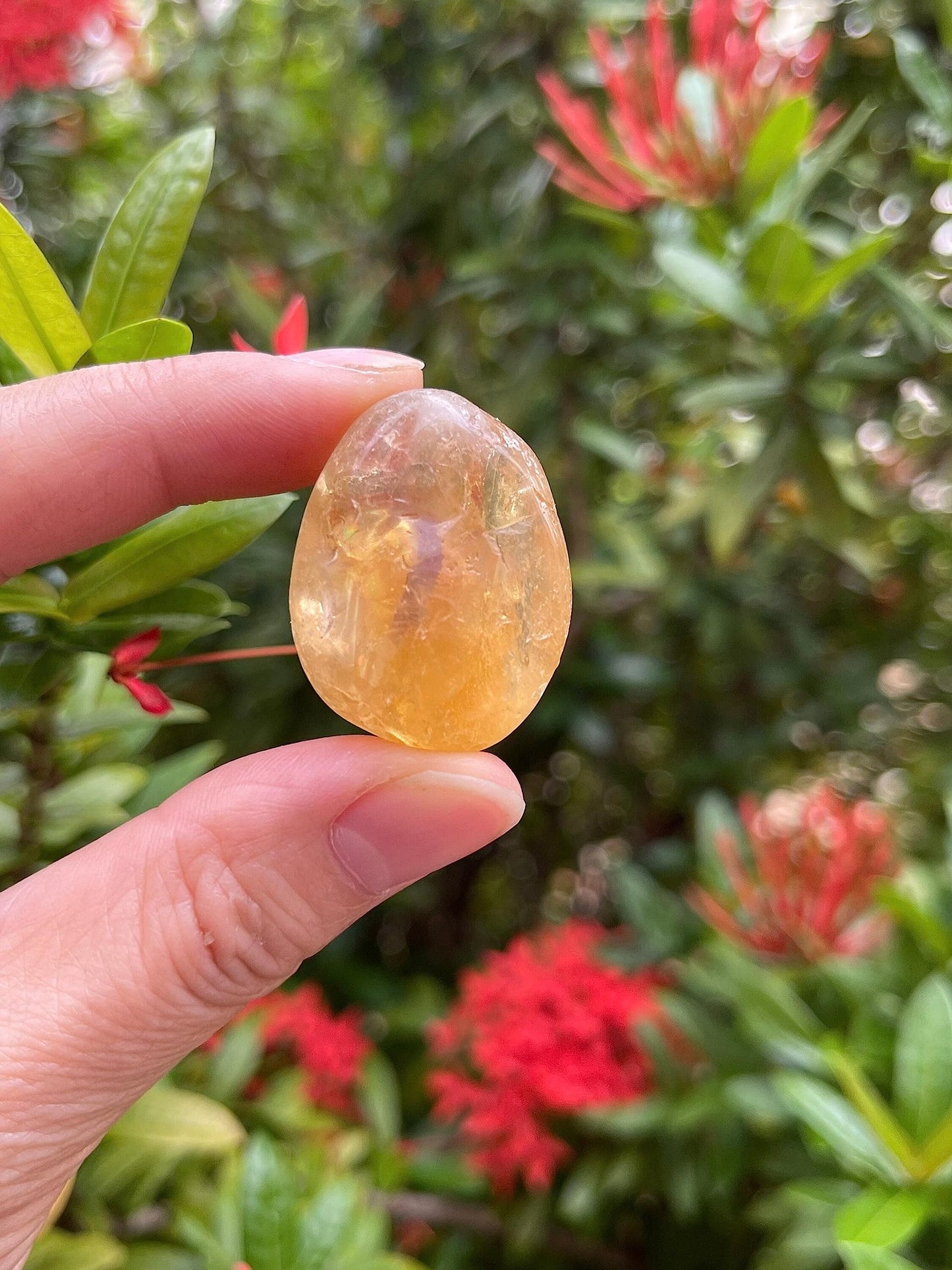 GAF TREASURES 5 Pcs Citrine Tumbled Stones, Polished Citrine Gemstone, Citrine Healing Crystals (Citrine)