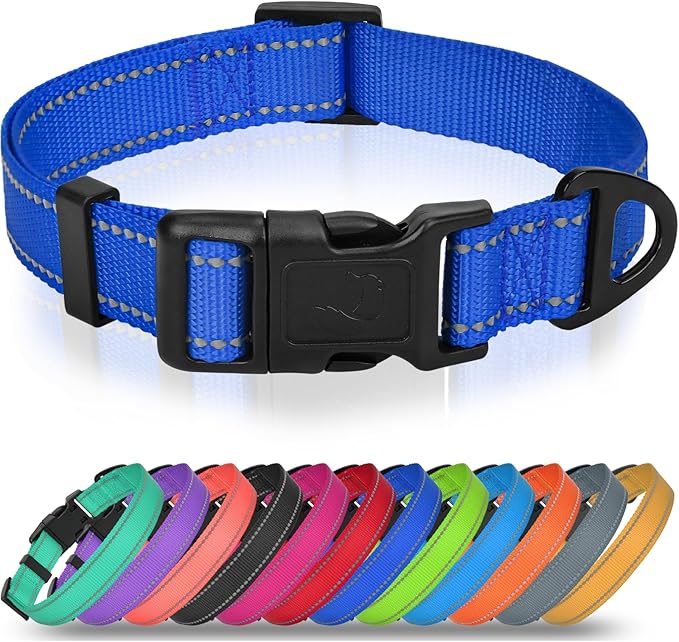 Joytale Feather-Light Dog Collar for Medium & Large Dogs, 1", Red