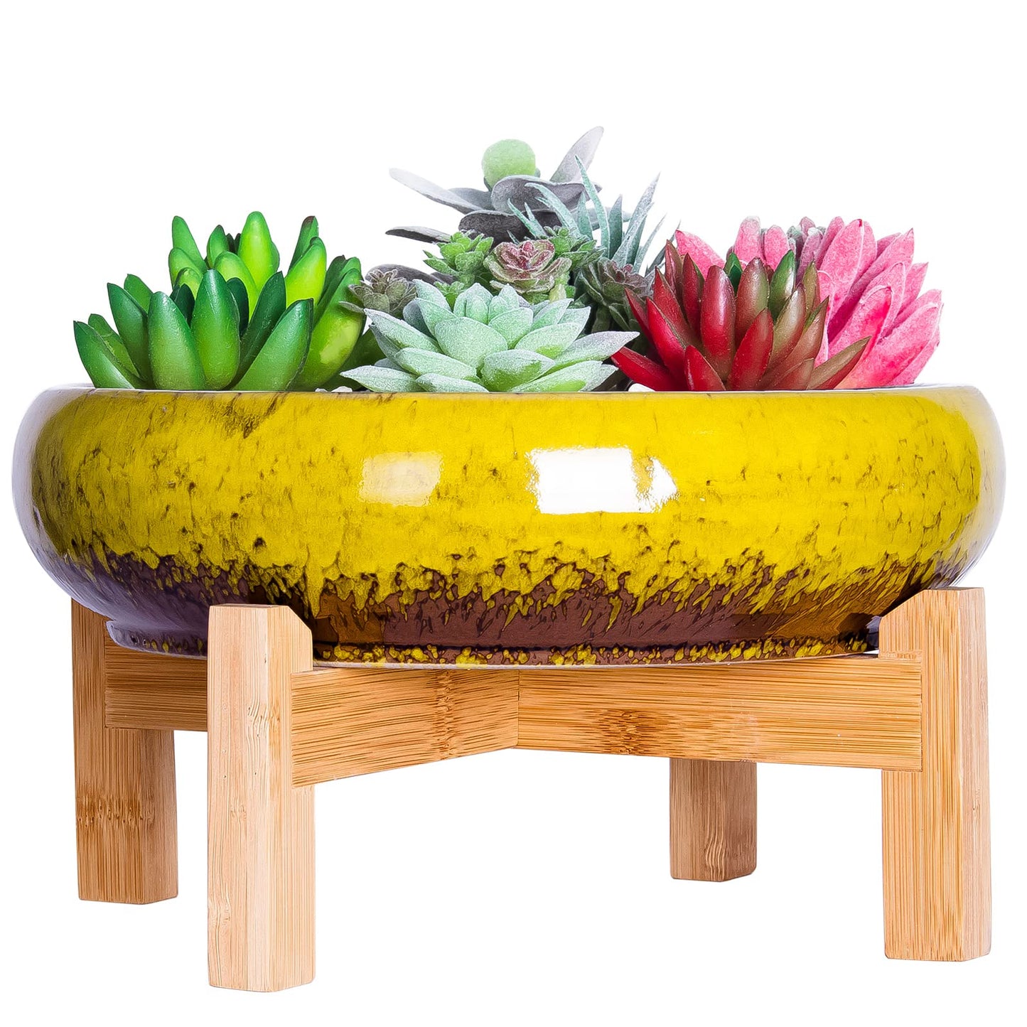 ARTKETTY Succulent Pots - 10 Inch Ceramic Bonsai Pots with Drainage Stand, Large Shallow Planters for Indoor Plants Glazed Cactus Flower Planter Container Bowl